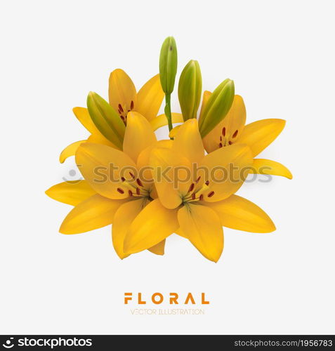 Yellow lily flower bouquet isolated. Vector illustration. Vector illustration of yellow lilies isolated on white background.