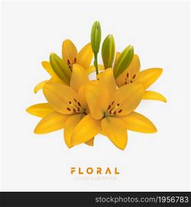 Yellow lily flower bouquet isolated. Vector illustration. Vector illustration of yellow lilies isolated on white background.