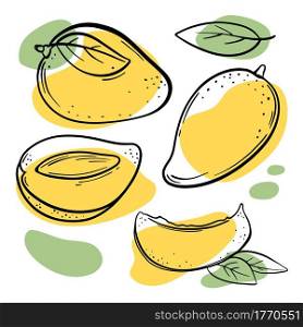 YELLOW MANGO Delicious Fruit Sketch Vector Illustration Set