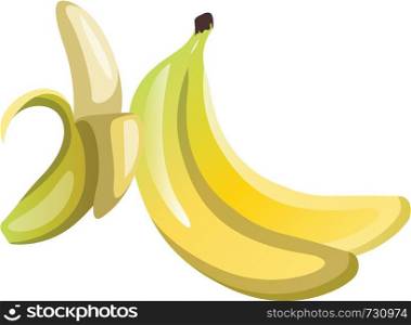 Yellow pealed bananas cartoon fruit vector illustration on white background.