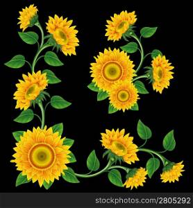 Yellow sunflowers on the black background. Design element.
