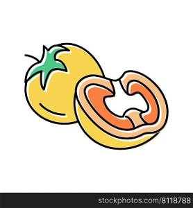 yellow tomato color icon vector. yellow tomato sign. isolated symbol illustration. yellow tomato color icon vector illustration