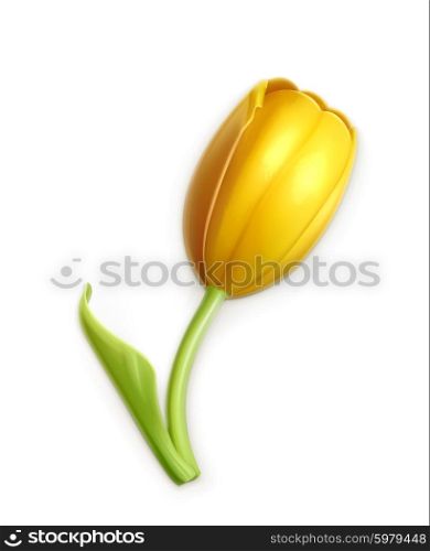 Yellow tulip, vector icon