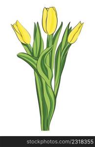 Yellow tulips bouquet vector illustration. Garden spring flowers. Symbol of coming of spring, gift to woman
