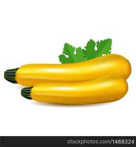 Yellow zucchini with leaves. Isolated on white background. Two Realistic zucchinis vegetables vector illustration.. Yellow zucchini with leaf. Isolated on white background. Realistic vector illustration.