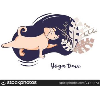Yoga pets. The dog is an athlete engaged in fitness, stretches in an asana. Vector illustration on a decorative blue background with decor. concept - Yoga time and hobby. Flat design