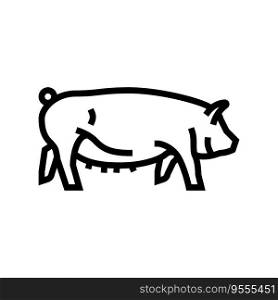 yorkshire pig breed line icon vector. yorkshire pig breed sign. isolated contour symbol black illustration. yorkshire pig breed line icon vector illustration