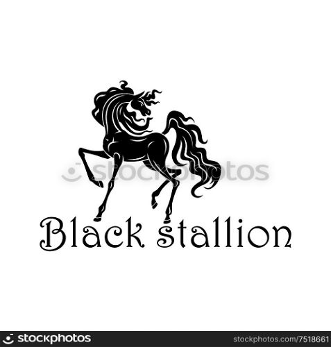 Young andalusian colt black silhouette with elegant curved neck, raised foreleg and thick curly mane and tail. Great for horse show, dressage symbol or horse breeding farm theme design. Horse show symbol with black andalusian colt