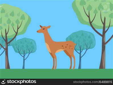 Young fallow deer female in forest on national park with trees behind. Flat style vector. European nature beauty. For travel, nature concept, habitat illustrating. Wildlife and environment concept. Fallow-deer in Habitat Flat Design Illustration . Fallow-deer in Habitat Flat Design Illustration