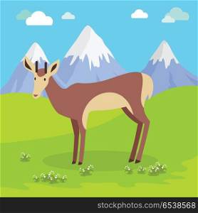 Young fallow deer male with horns on mountain meadow with snowy mountains behind. Flat style vector. North nature beauty. For travel, nature concept, children s book illustrating, printing material. Young Deer Vector Illustration in Flat Design. Young Deer Vector Illustration in Flat Design