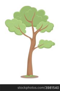 Young tree semi flat color vector object. Full sized item on white. Biodiverse habitat. Supporting wildlife. Springtime simple cartoon style illustration for web graphic design and animation. Young tree semi flat color vector object