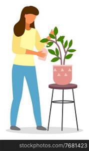 Young woman florist pouring watering decorative houseplant at home or office isolated on white. Home gardening or growing flowers hobby illustration. Decoration, care, floristics, business concept.. Young woman florist pouring watering decorative houseplant at home or office isolated on white
