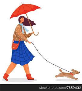 Young woman walk with her pet, puppy in park. Woman stroll with active dog on leash. Person dressed in warm clothes like scarf, coat and carry umbrella. Vector illustration of walking in flat style. Woman Walk with Dog in Autumn Park, Domestic Pet