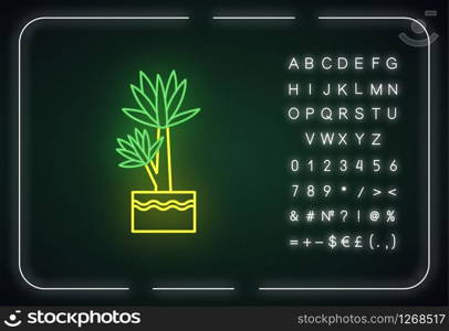 Yucca neon light icon. Small exotic indoor palm. Mexican tree. Houseplant with pointed leaves. Outer glowing effect. Sign with alphabet, numbers and symbols. Vector isolated RGB color illustration