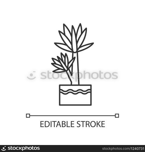 Yucca pixel perfect linear icon. Small exotic indoor palm. Mexican tree with pointed leaves. Thin line customizable illustration. Contour symbol. Vector isolated outline drawing. Editable stroke