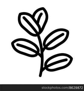 zamioculcas tropical leaf line icon vector. zamioculcas tropical leaf sign. isolated contour symbol black illustration. zamioculcas tropical leaf line icon vector illustration