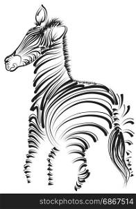 zebra. abstract animal isolated on white background