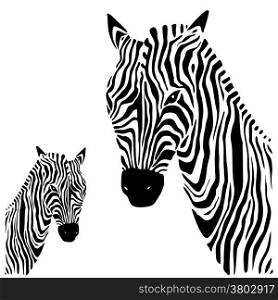 Zebra head. Hand drawn. Ethnic Vector illustration.