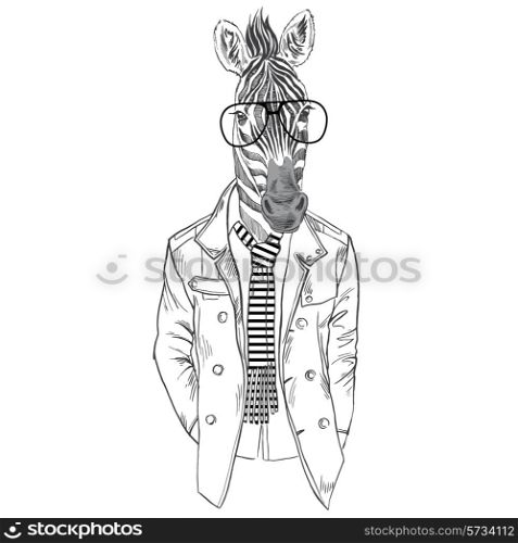 zebra male dressed up in modern urban style