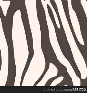 Zebra skin closeup illustration, hand drawn background