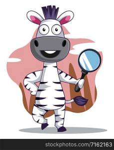 Zebra with magnifier tool, illustration, vector on white background.