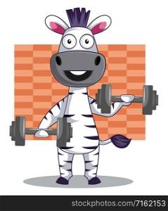 Zebra with weights, illustration, vector on white background.