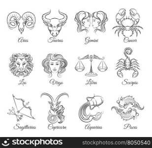 Zodiac graphic signs vector. Zodiac graphic signs vector. Astrological zodiac symbols or zodiac icons