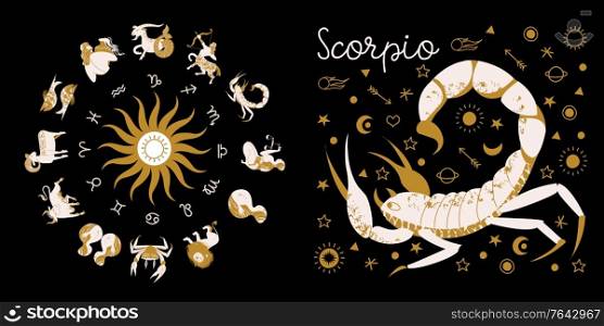 Zodiac sign Scorpio. Full horoscope in the circle. Horoscope wheel zodiac with twelve signs vector. Aries; Taurus; Gemini; Cancer; Leo; Virgo; Libra; Scorpio; Sagittarius; Capricorn; Aquarius, Pisces. Zodiac sign Scorpio. Horoscope and astrology. Full horoscope in the circle. Horoscope wheel zodiac with twelve signs vector.