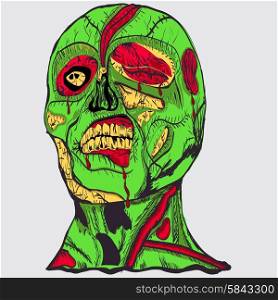 zombie head with brain