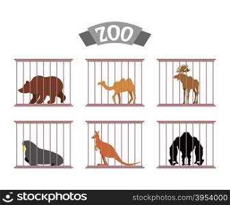 Zoo. Collection of wild animals in cages. Beasts behind bars. Bear and moose in captivity. Kangaroo and camel sit at Zoo. Seal, walrus and Gorilla under control of person. Animal care.