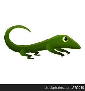 Zoo lizard icon. Cartoon of zoo lizard vector icon for web design isolated on white background. Zoo lizard icon, cartoon style