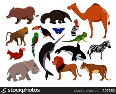 Zoo wild animals. Cute vector characters isolate on white. Parrot and camel animals cartoon, monkey and boar illustration. Zoo wild animals. Cute vector characters isolate on white