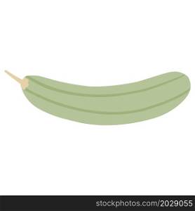 Zucchini isolated. Marrow vegetable. Simple style. Ingredient for cooking. Vector illustration. Zucchini in simple style. Marrow vegetable