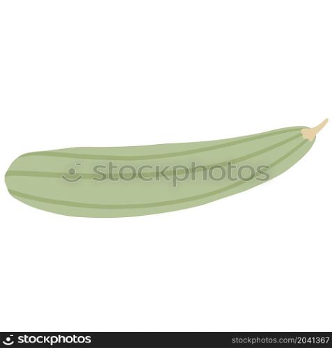 Zucchini isolated. Marrow vegetable. Simple style. Ingredient for cooking. Vector illustration. Zucchini isolated. Marrow vegetable.