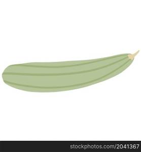 Zucchini isolated. Marrow vegetable. Simple style. Ingredient for cooking. Vector illustration. Zucchini isolated. Marrow vegetable.