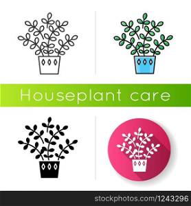 Zz plant icon. Zamioculcas. Zanzibar Gem. Indoor tropical plant with small leaves. Decorative houseplant. Natural home, office decor. Linear black and RGB color styles. Isolated vector illustrations